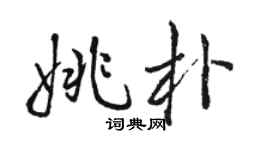 駱恆光姚朴行書個性簽名怎么寫