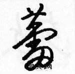 駱恆光寫的硬筆草書蕾