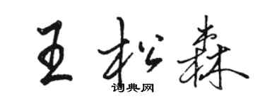 駱恆光王松森行書個性簽名怎么寫