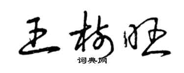 曾慶福王樹旺草書個性簽名怎么寫