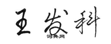 駱恆光王發科行書個性簽名怎么寫