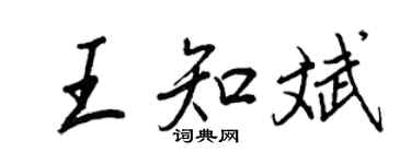 王正良王知斌行書個性簽名怎么寫