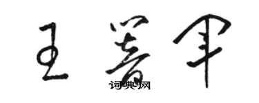 駱恆光王響軍草書個性簽名怎么寫