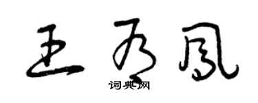 曾慶福王有鳳草書個性簽名怎么寫
