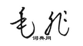 駱恆光毛非草書個性簽名怎么寫