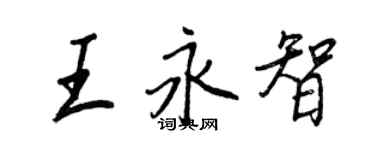 王正良王永智行書個性簽名怎么寫