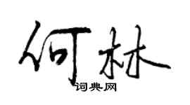 曾慶福何林行書個性簽名怎么寫