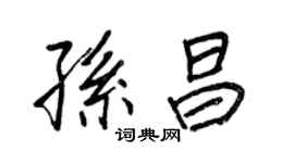 王正良孫昌行書個性簽名怎么寫