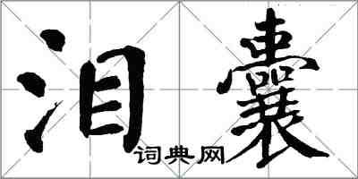 翁闓運淚囊楷書怎么寫