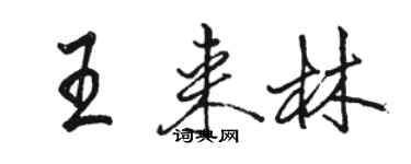 駱恆光王來林行書個性簽名怎么寫