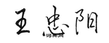 駱恆光王忠陽行書個性簽名怎么寫