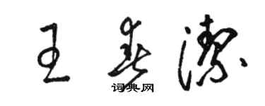 駱恆光王春潔草書個性簽名怎么寫