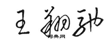 駱恆光王翔馳草書個性簽名怎么寫