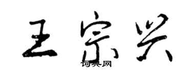 曾慶福王宗興行書個性簽名怎么寫