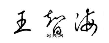 梁錦英王智海草書個性簽名怎么寫