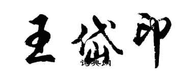 胡問遂王岱印行書個性簽名怎么寫