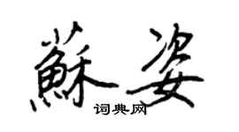 王正良蘇姿行書個性簽名怎么寫