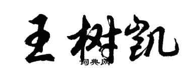 胡問遂王樹凱行書個性簽名怎么寫
