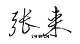 駱恆光張來行書個性簽名怎么寫