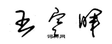 朱錫榮王寒暉草書個性簽名怎么寫