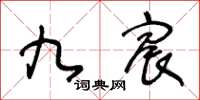 王冬齡九宸草書怎么寫