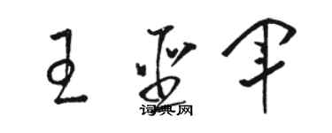 駱恆光王聖軍草書個性簽名怎么寫