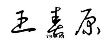 曾慶福王春原草書個性簽名怎么寫