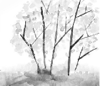 穿越沙礫的光芒_穿越沙礫的光芒作文