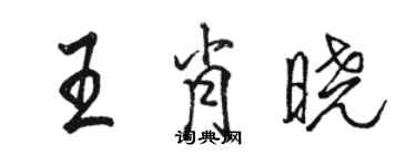 駱恆光王肖曉行書個性簽名怎么寫