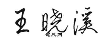 駱恆光王曉溪行書個性簽名怎么寫