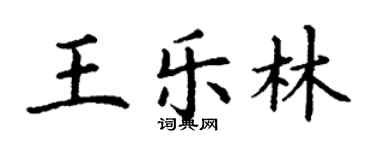 丁謙王樂林楷書個性簽名怎么寫