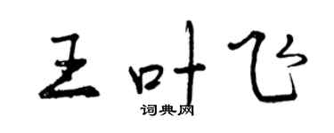 曾慶福王葉飛行書個性簽名怎么寫