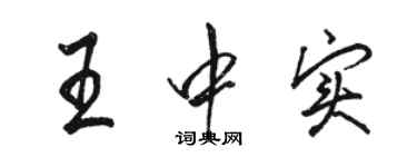 駱恆光王中實行書個性簽名怎么寫