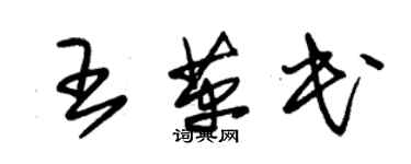 朱錫榮王革民草書個性簽名怎么寫