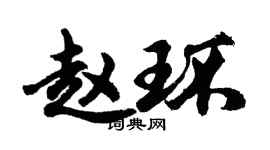 胡問遂趙環行書個性簽名怎么寫