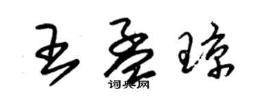 朱錫榮王孟瓊草書個性簽名怎么寫