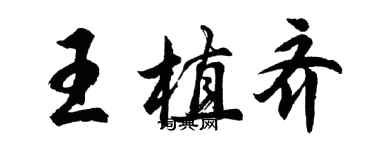 胡問遂王植齊行書個性簽名怎么寫