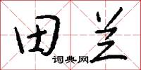 田蘭怎么寫好看