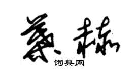 朱錫榮葉赫草書個性簽名怎么寫