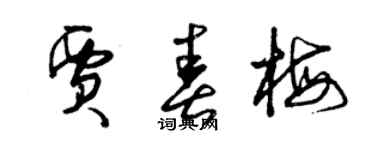 曾慶福賈春梅草書個性簽名怎么寫