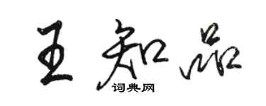 駱恆光王知品行書個性簽名怎么寫