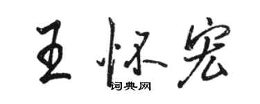 駱恆光王懷宏行書個性簽名怎么寫