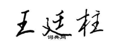 王正良王廷柱行書個性簽名怎么寫