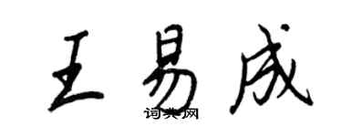 王正良王易成行書個性簽名怎么寫