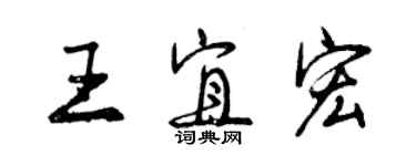 曾慶福王宜宏行書個性簽名怎么寫