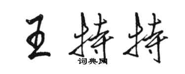 駱恆光王特特行書個性簽名怎么寫