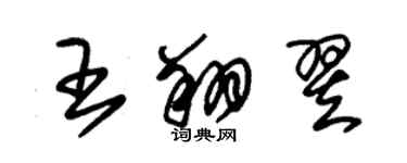 朱錫榮王翔翌草書個性簽名怎么寫