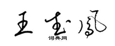 梁錦英王武鳳草書個性簽名怎么寫