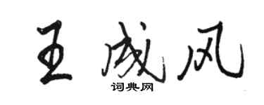 駱恆光王成風行書個性簽名怎么寫