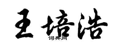 胡問遂王培浩行書個性簽名怎么寫